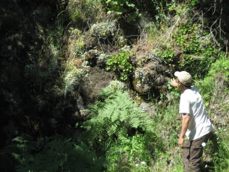 About Us - Sevenoaks Native Nursery